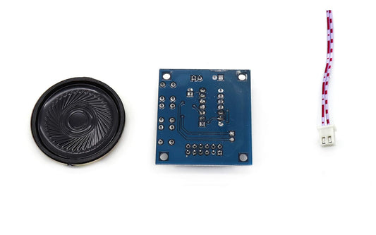 Sound Playback Module