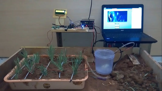 Laptop displaying a screen with plants in a tray on a table