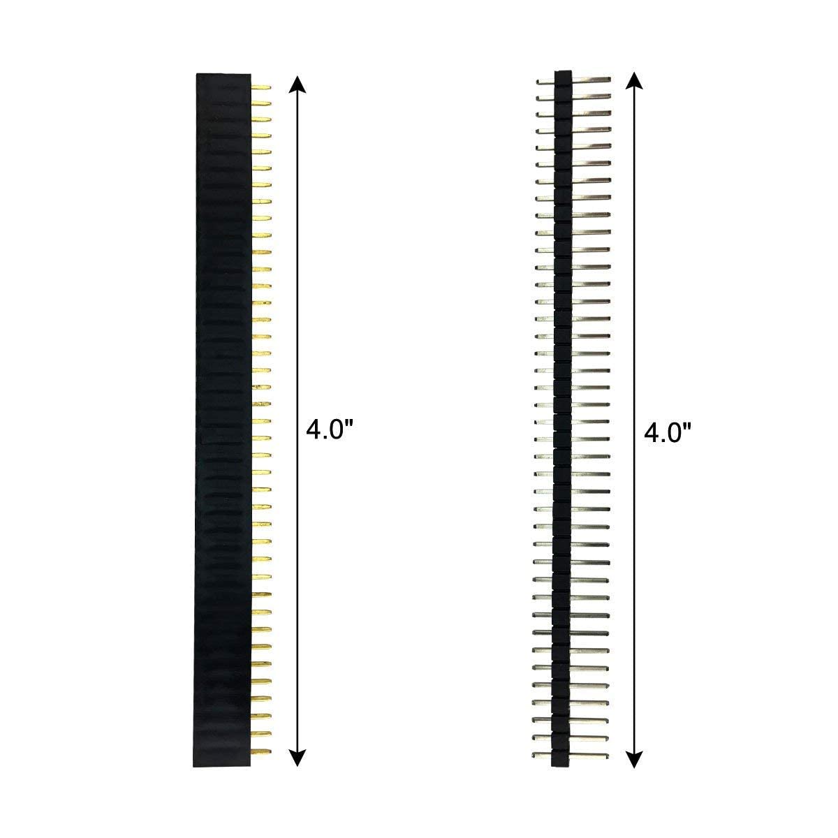 Berg Strips