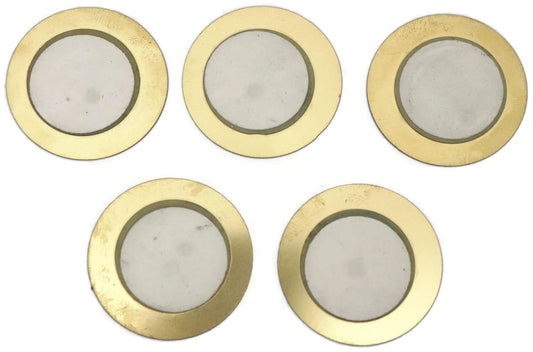 Piezoelectric Plate