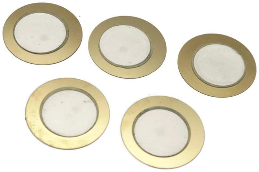 Piezoelectric Plate